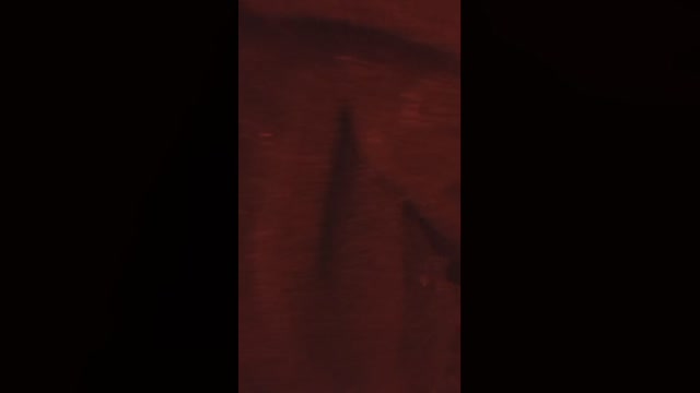 Hotcouplejaag  28-09-2022